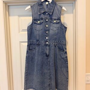 Joie Large Denim Dress